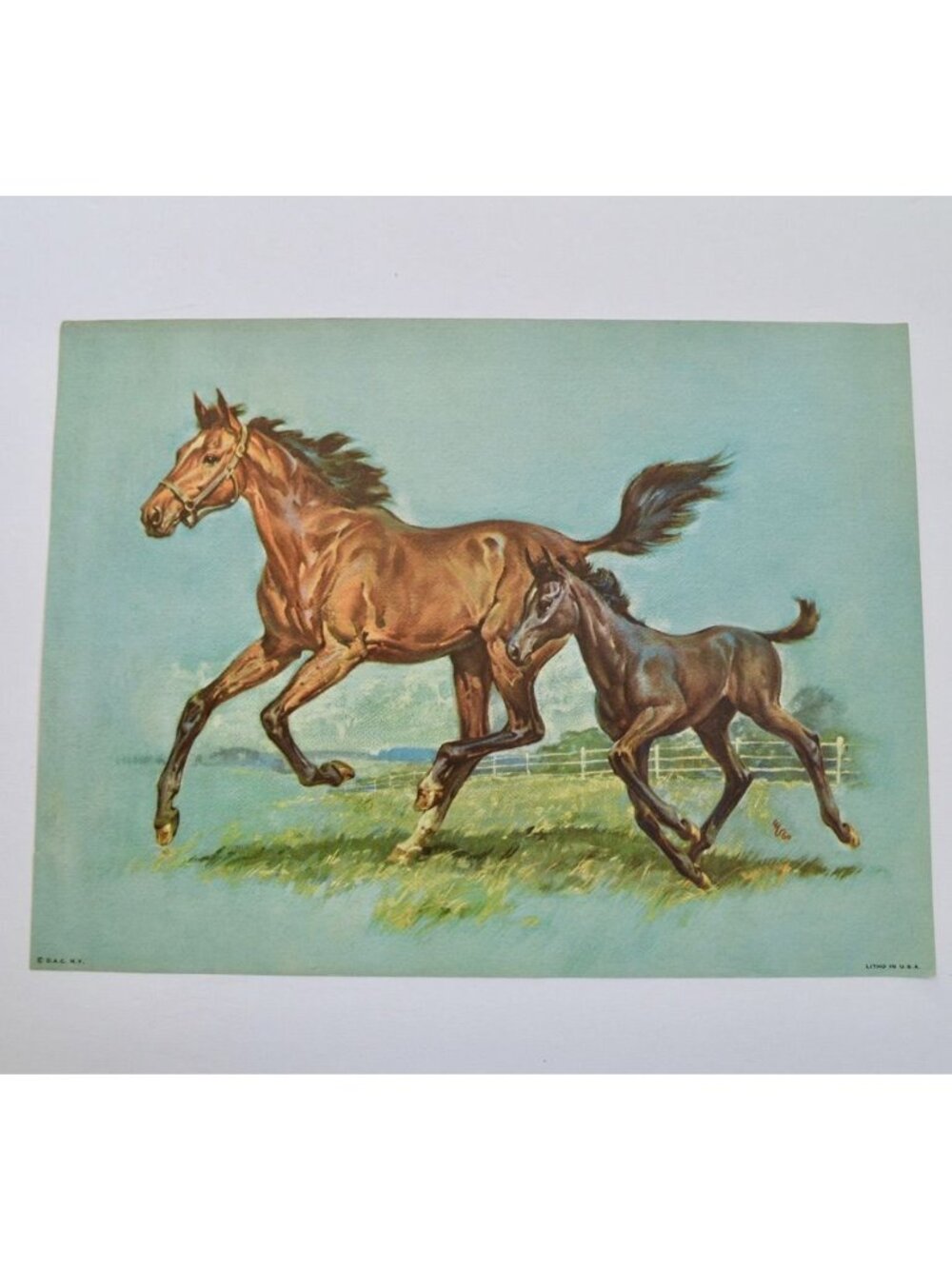 Donald Art Company Litho Print Horse 12 x 9"